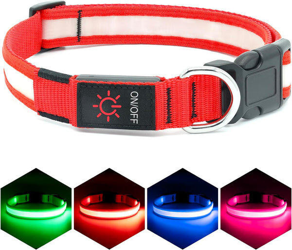 Professional title: "Small Size Red USB Rechargeable LED Dog Collar with Adjustable Brightness"