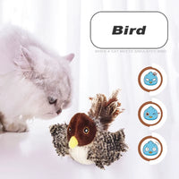 Interactive Feather Cat Toy – Engage and Train Your Feline Friend!