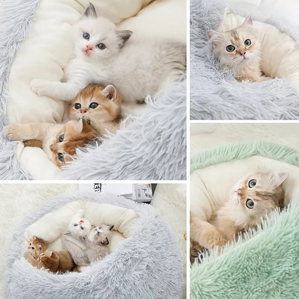 Cozy 2-in-1 Winter Plush Cat & Small Dog Bed & Sleep Bag 