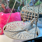 "Handwoven Lizard Hammock Swing - Fun Pet Nest for Reptiles and Small Animals"