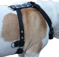 Genuine Leather Dog Harness   