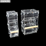 Transparent 2-Pack Automatic Bird Feeders for Starlings and Parrots 