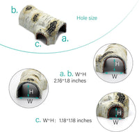 Natural Birch Tree Bark Reptile Hide & Cave Habitat - Perfect for Lizards, Geckos, Snakes, Spiders, Frogs, & Turtles 
