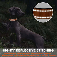 Reflective Adjustable Dog Collar with Neoprene Padding for Small Dogs