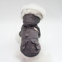 Stylish Cap Dog Coat for Trendy Dogs. 