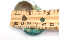 Natural Large Hermit Crab Shells - Green Blue Gade Turbo - 2-1/2 Inch to 3 Inch - Set of 2