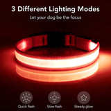 Professional title: "Small Size Red USB Rechargeable LED Dog Collar with Adjustable Brightness"