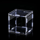 "Versatile Acrylic Reptile Terrarium - Perfect for Turtles, Tarantulas, and Dragons!"