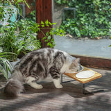 Tilted Elevated Cat and Dog Feeding Bowls Set with Stylish Bamboo Stand 