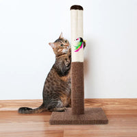 Cat Scratch Post with Hanging Toy