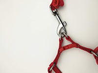 Adjustable Nylon Harness Leash for Pet Birds - Perfect for Training and Outdoor Walks!