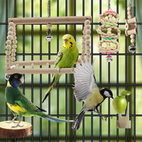 "Interactive Bird Toy Set with Perch Stand, Swings, and Chewing Toys - Perfect for Parrots and Small Birds!"