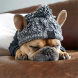 Snuggly Windproof Dog Hats with Cute Fluffy Balls - Ideal for French Bulldogs & Chihuahuas!