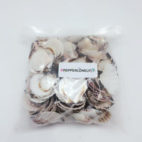 Mixed Pecten Nobilis Scallop Sea Shells, Various Sizes, 800 Grams - Approximately 120 Pieces