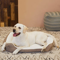 Professional Dog Bed: Medium Square Bed for Dogs, Machine Washable and Durable