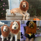 "Realistic Lion Mane Costume for Medium to Large Dogs - Perfect for Halloween Fun!"