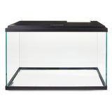 10-Gallon Glass Aquarium Starter Kit