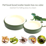 Reptile Feeding & Water Dish - Reusable Tortoise & Bearded Dragon Feeder 