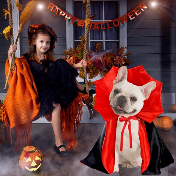 "Spooktacular Medium Dog Halloween Costumes - Vampire Cloak & Devil Outfit for Dogs!"