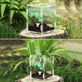 Acrylic Reptile Breeding Box with Magnetic Closure and 360 Degree Visibility