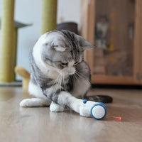 Interactive USB Charging Electric Moving Cat or Small Dog Toy 