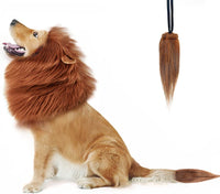 "Realistic Lion Mane Costume for Medium to Large Dogs - Perfect for Halloween Fun!"