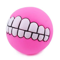 Squeaky Dog Ball Toy for Fetch and Chew - Funny Pet Puppy Toy with Squeaker Sound