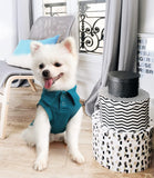 Handsome Dog Polo Shirt - Stylish T-Shirt for Small & Medium Boys, Perfect for All Seasons (Blue, XS)