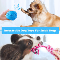 "Fun Pack of Teething Toys for Small Puppies and Dogs"