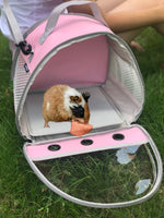 "Ultimate Portable Travel Carrier for Small Pets - Guinea Pig, Hamster, Bearded Dragon & Birds - Clear View Design for Outdoor & Vet Trips!"