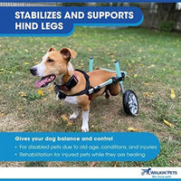 "Veterinarian Approved Dachshund Wheelchair for Small Dogs 2-30+ Pounds - Support Your Pup's Mobility!"