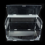 "Acrylic Reptile Breeding Box: Ideal for Spiders, Lizards, Scorpions, and Insects!"