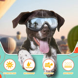 "Ultimate Dog Goggles for Large Breeds - Stylish Eye Protection for Riding, Biking, and Driving!"