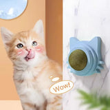 Lickable Catnip Balls - Fun Toys for Kittens and Cats to Chew and Clean Teeth!