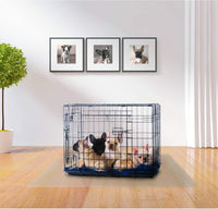 "Premium 48" X 53" Polycarbonate Floor Mat for Dog Crates - Protect Your Floors in Style!"