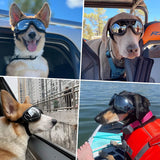 "Ultimate Dog Goggles for Large Breeds - Stylish Eye Protection for Riding, Biking, and Driving!"