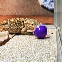 "Interactive Feeding Toys for Bearded Dragons and Small Reptiles - Set of 6"