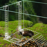 "Floating Turtle Basking Platform with Ladder - Perfect Habitat for Reptiles and Fish Tanks"