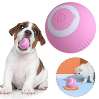 Interactive USB Charging Electric Moving Cat or Small Dog Toy 