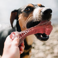 Indestructible Bone-Shaped Dog Toys for Aggressive Chewers - Interactive Nylon Chew Toys for Large Dogs with Teeth Cleaning Benefits