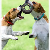 Dog Pals Tire Tunes - Engage Your Dog with Interactive Sound & Fun!