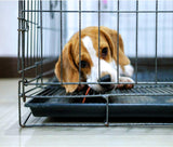 "Premium 48" X 53" Polycarbonate Floor Mat for Dog Crates - Protect Your Floors in Style!"