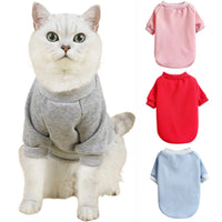 Cute Cat Sweaters 