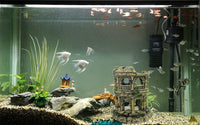 European Castle Aquarium Decorations - Ancient Roman Column Ruins Fish Tank Hideout Rocks