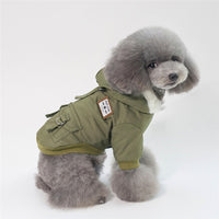 Stylish Cap Dog Coat for Trendy Dogs. 