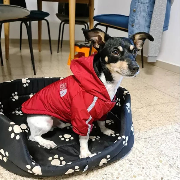 "Cozy & Waterproof Reflective Pet Jacket - Winter Fleece Coat for Small & Medium Dogs, Perfect for Chihuahuas!"