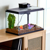 10-Gallon Glass Aquarium Starter Kit