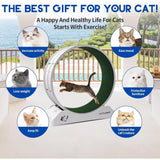 Revolutionary Cat Treadmill Wheel - Keep Your Kitty Active and Healthy with Carpeted Runway Fun!