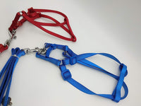 Adjustable Nylon Harness Leash for Pet Birds - Perfect for Training and Outdoor Walks!