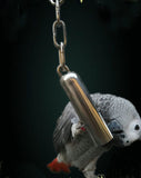 Durable Stainless Steel Bell Toy for Birds 